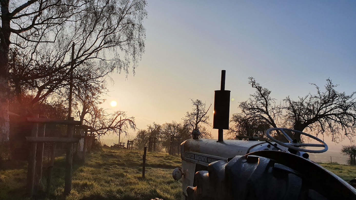 Old tractor at sunrise